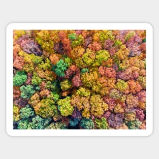 Aerial view of colorful autumn forest Sticker